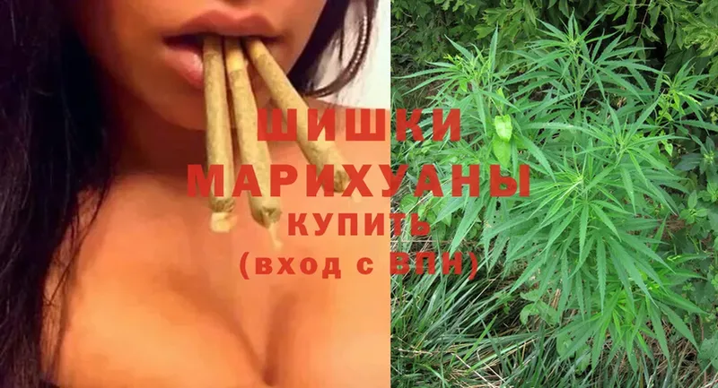 наркотики  Орехово-Зуево  Бошки марихуана SATIVA & INDICA 